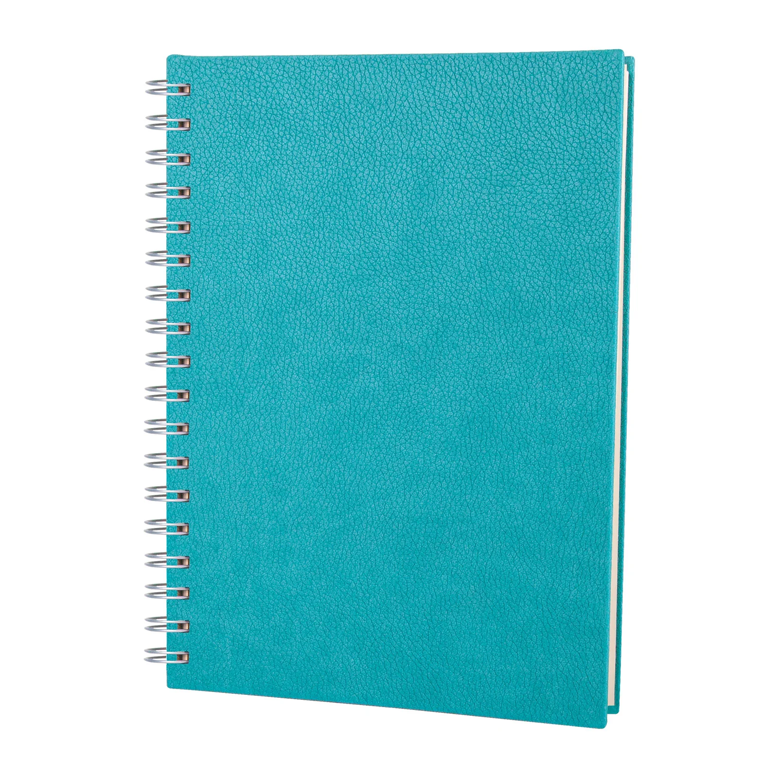Kareli Spiralli Tarihsiz Defter 17x24 cm - Turkuaz · RM-M-D-166