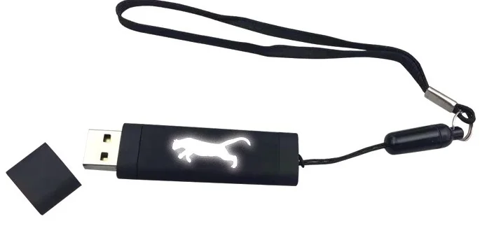 USB · Kapaklı Dikdörtgen LED USB · İpli · RM-P-UL-272-5